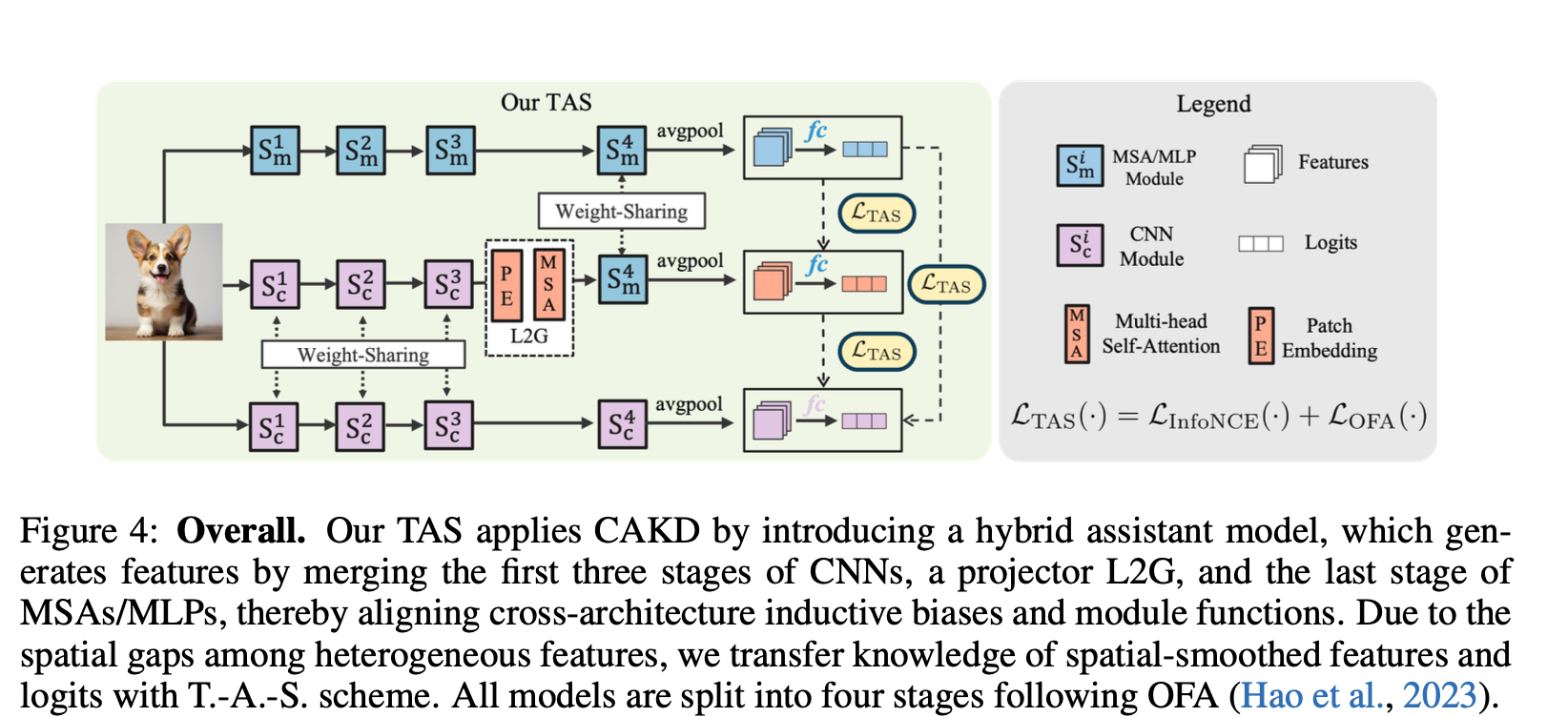 TAS-Distilling Arbitrary Teacher And AND Student Via A Hybrid Assistant